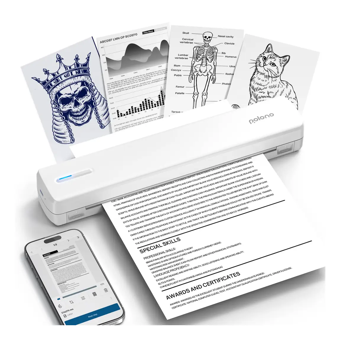 D810 Portable Thermal Printer: Supports 8.5 × 11-inch US Letter media